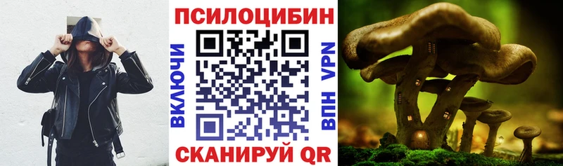 Псилоцибиновые грибы MAGIC MUSHROOMS  кракен как войти  дарк нет состав  Пушкино 