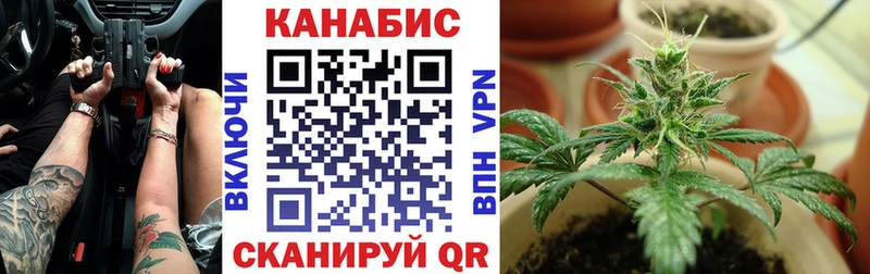 где можно купить   Пушкино  Канабис марихуана 